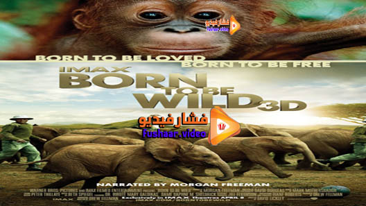 مشاهدة فيلم Born to Be Wild 2011 مترجم