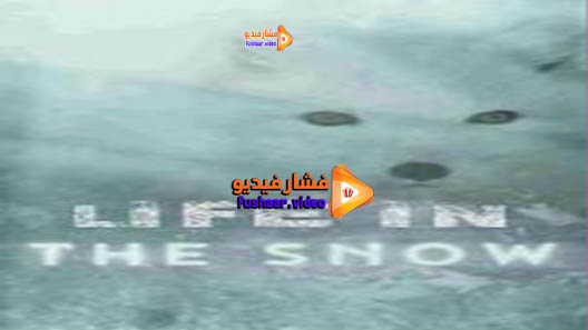 مشاهدة فيلم Life in the Snow 2016 مترجم