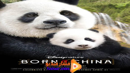 مشاهدة فيلم Born in China 2016 مترجم