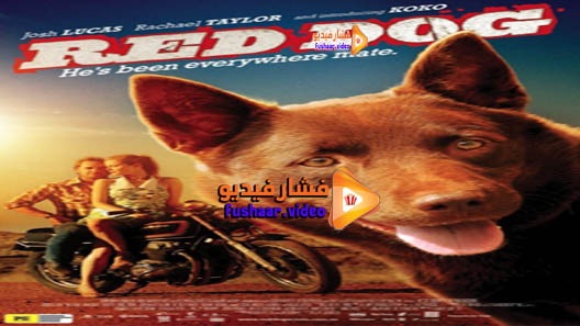 مشاهدة فيلم Red Dog 2011 مترجم