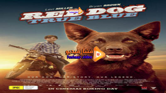 مشاهدة فيلم Red Dog: True Blue 2016 مترجم