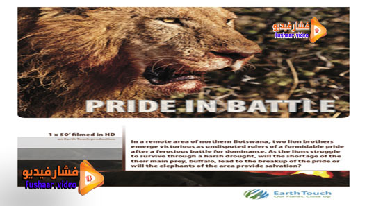 مشاهدة فيلم Pride in Battle 2010 مترجم