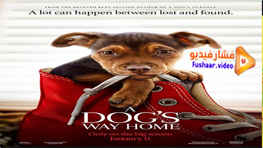 مشاهدة فيلم A Dog’s Way Home 2019 مترجم