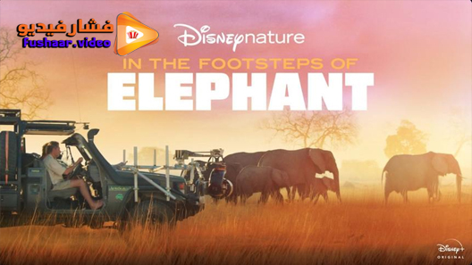 مشاهدة فيلم In the Footsteps of Elephant 2020 مترجم