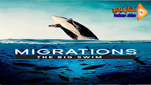 مشاهدة فيلم Migrations: The Big Swim 2020مترجم