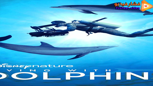 مشاهدة فيلم Diving with Dolphins 2020 مترجم