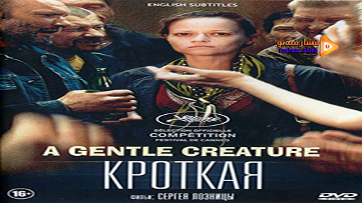 مشاهدة فيلم A Gentle Creature 2017 مترجم