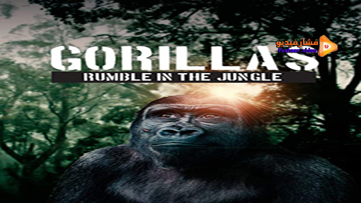 مشاهدة فيلم Gorillas: Rumble in the Jungle 2020 مترجم