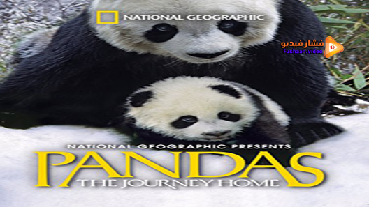 مشاهدة فيلم Pandas The Journey Home 2014 مترجم