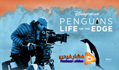 مشاهدة فيلم Penguins: Life on the Edge 2021 مترجم