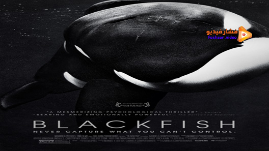 مشاهدة فيلم Blackfish 2013 مترجم