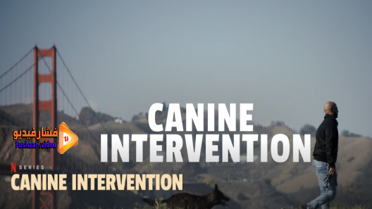 مشاهدة مسلسل Canine Intervention الموسم 1 الحلقة 6 والاخيرة مترجم