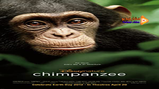 مشاهدة فيلم Chimpanzee 2012 مترجم