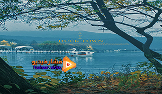 مشاهدة فيلم IDuck Town 2017 مترجم