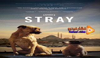 مشاهدة فيلم Stray 2020 مترجم