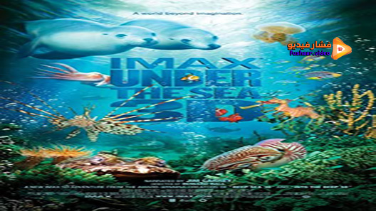 مشاهدة فيلم Under The Sea 3D 2009 مترجم