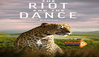 مشاهدة فيلم The Riot and the Dance 2020 مترجم