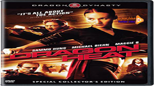 مشاهدة فيلم Dragon Squad 2005 مترجم