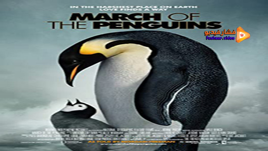 مشاهدة فيلم March Of The Penguins 2005 مترجم