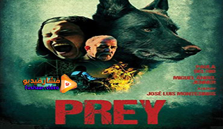 مشاهدة فيلم Cordes 2019 مترجم