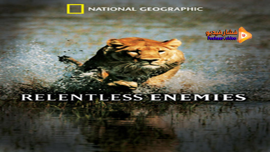 مشاهدة فيلم Relentless Enemies 2006 مترجم