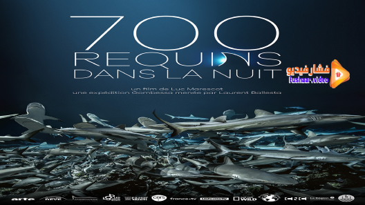 مشاهدة فيلم 700 requins dans la nuit 2018 مترجم