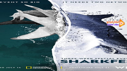 مشاهدة فيلم Man vs. Shark 2019 مترجم