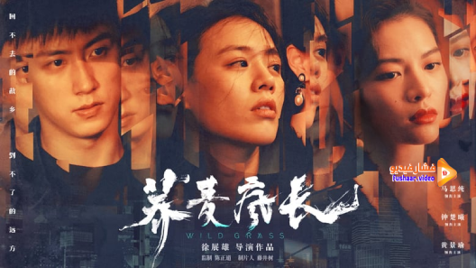 مشاهدة فيلم Wild Grass 2020 مترجم