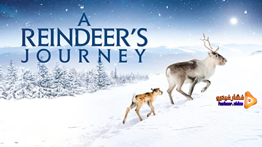 مشاهدة فيلم A Reindeers Journey 2018 مترجم