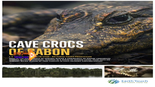 مشاهدة فيلم Cave Crocs Of Gabon 2018 مترجم