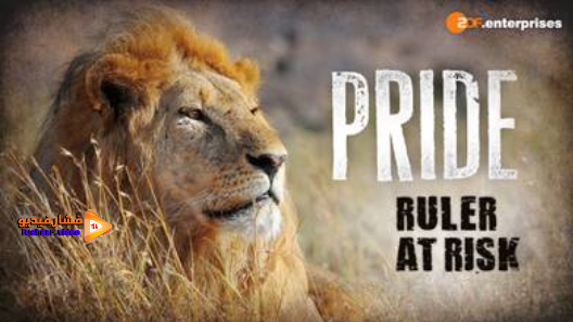 مشاهدة فيلم Pride – Ruler’s at Risk 2016 مترجم