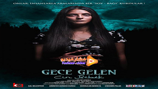 مشاهدة فيلم Gece Gelen: Cin Bebek 2020 مترجم