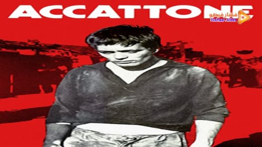 مشاهدة فيلم Accattone 1961 مترجم