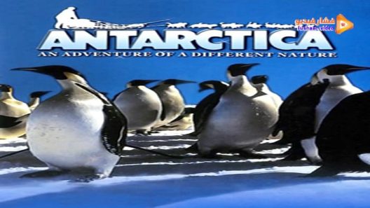 مشاهدة فيلم Antarctica 1991 مترجم