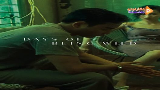 مشاهدة فيلم Days of Being Wild 1990 مترجم