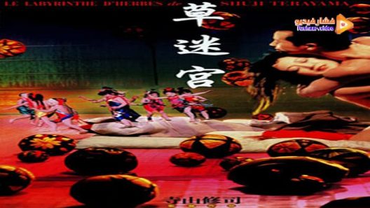 مشاهدة فيلم Grass Labyrinth 1979 مترجم