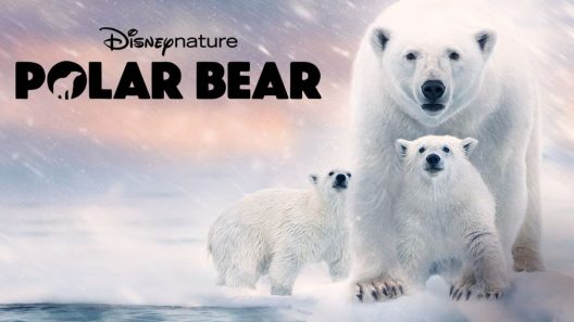 مشاهدة فيلم Bear witness 2022 مترجم