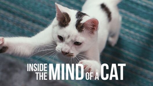 مشاهدة فيلم Inside the Mind of a Cat 2022 مترجم