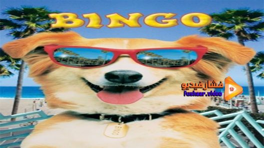 مشاهدة فيلم Bingo 1991 مترجم