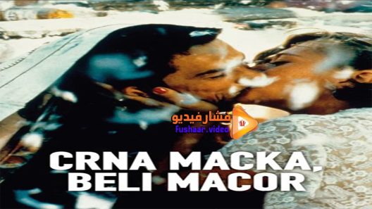 مشاهدة فيلم Black Cat White Cat 1998 مترجم