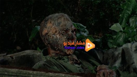مشاهدة فيلم Burial Ground- The Nights of Terror 1981 مترجم