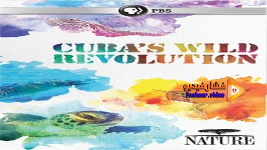 مشاهدة فيلم Cubas Wild Revolution 2020 مترجم