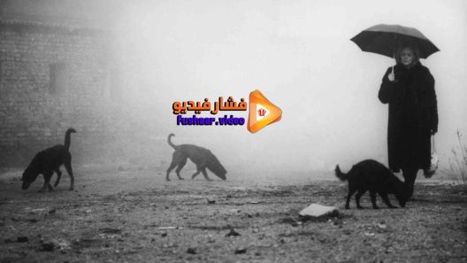 مشاهدة فيلم Damnation 1988 مترجم