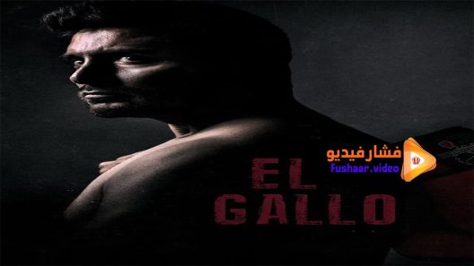 مشاهدة فيلم El Gallo 2018 مترجم