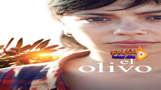 مشاهدة فيلم El olivo 2016 مترجم