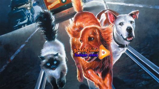 مشاهدة فيلم Homeward Bound II Lost in San Francisco 1996 مترجم