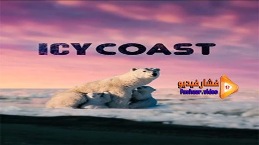 مشاهدة فيلم Icy Coast 2020 مترجم