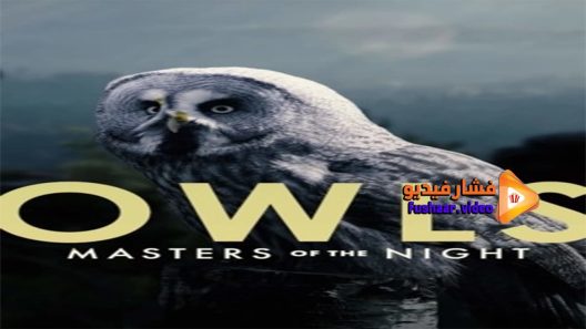 مشاهدة فيلم Masters of the Night 2020 مترجم