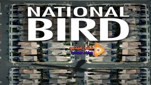 مشاهدة فيلم National Bird 2016 مترجم