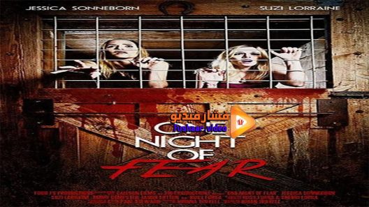 مشاهدة فيلم One Night of Fear 2016 مترجم